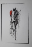 gerald-dessins - Dessins noir/blanc /rouge